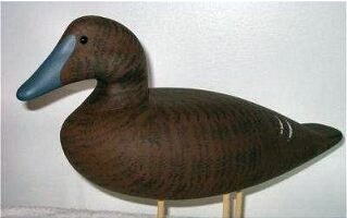 eiderfrnd.jpg