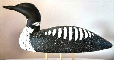loon.jpg