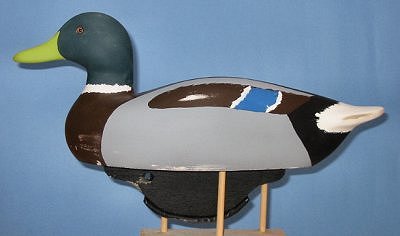 mallard.jpg