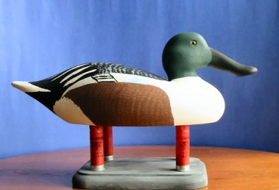 shoveler.jpg