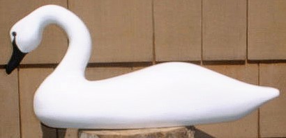 swan.jpg